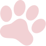 Illustration d'une patte
