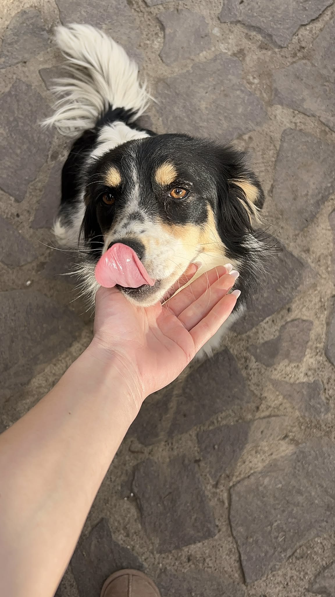 Bella